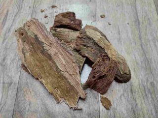 arjun chhaal arjun ki chhaal