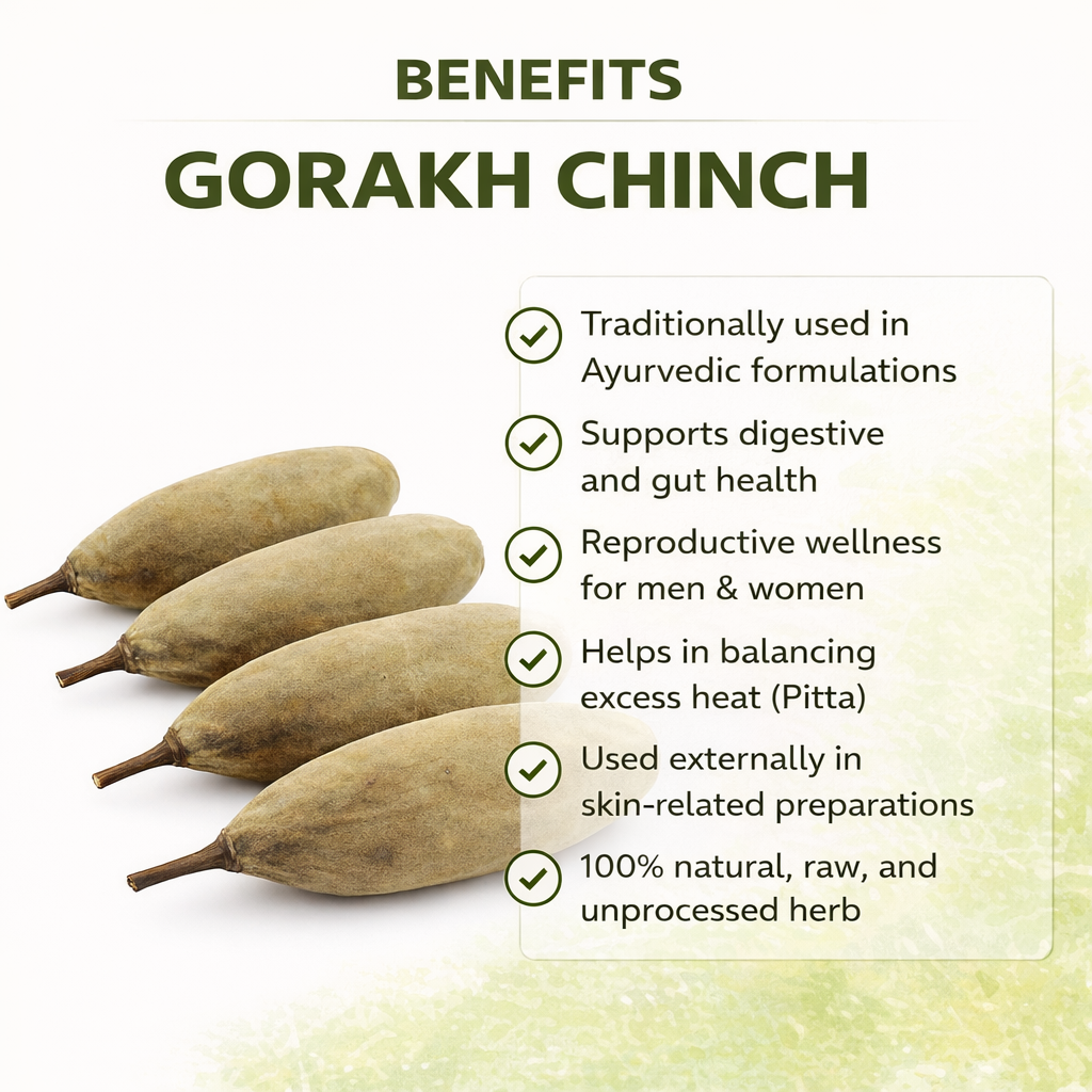 Gorakh Chinch Fruit | Gorakh Amli | Gorakh imli Fruit | Raw Ayurvedic Herb | Adansonia digitata | Fresh & Natural | Pack of 1 - Image 2