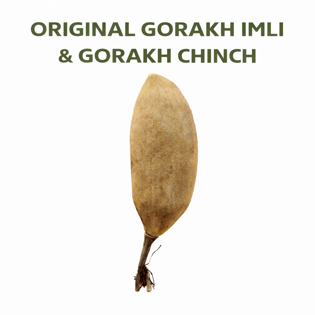 Gorakh Chinch Fruit | Gorakh Amli | Gorakh imli Fruit | Raw Ayurvedic Herb | Adansonia digitata | Fresh & Natural | Pack of 1 - Image 5